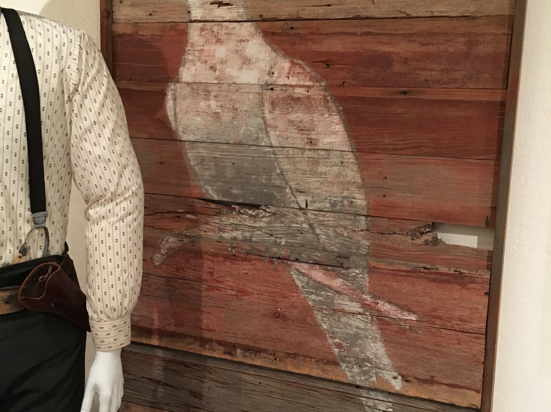 The Wittliff Collections-圣马科斯必去景点