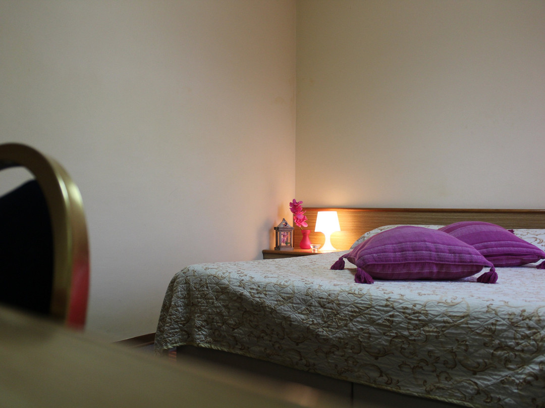 Hotel Diana主图