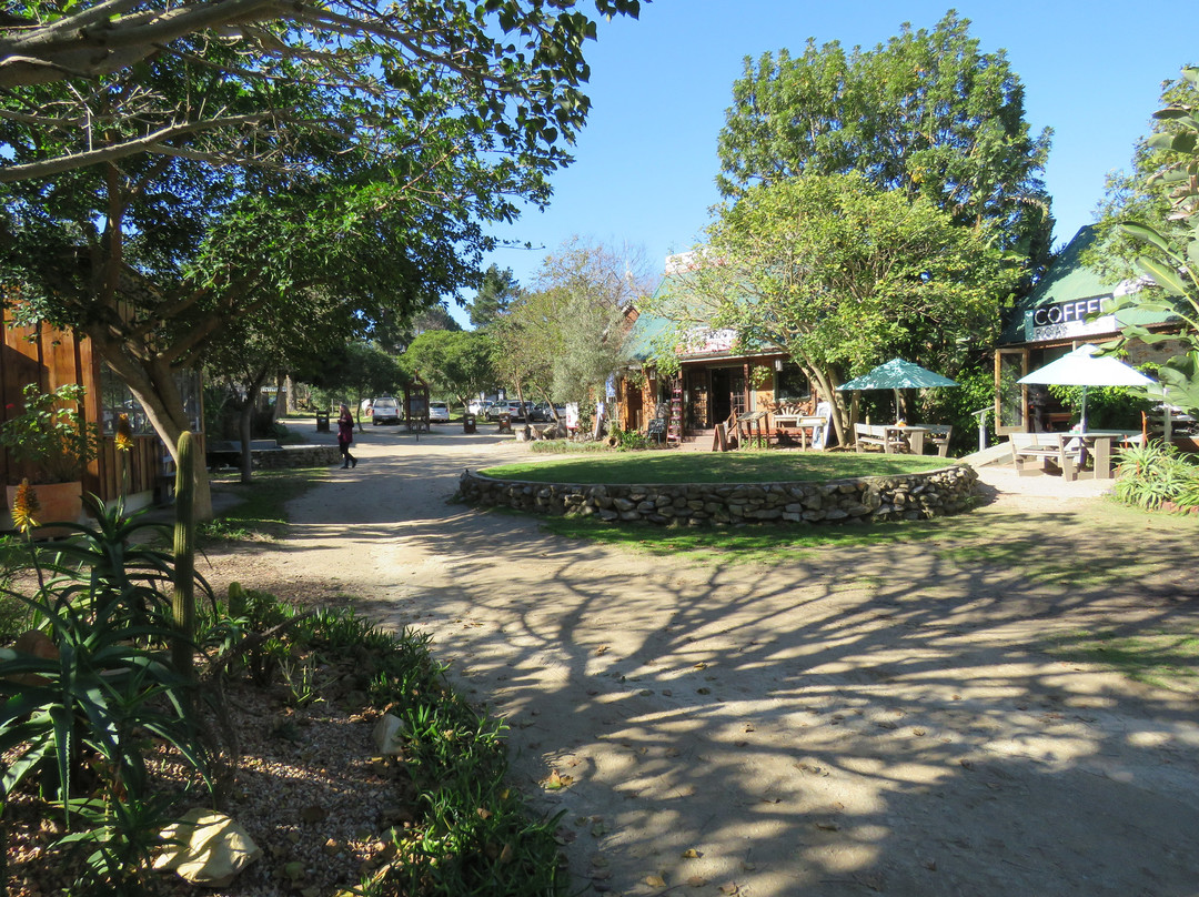 Timberlake Village-荒野必去景点