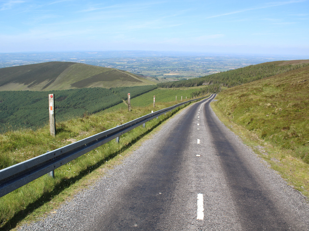 Mount Leinster-Bunclody必去景点