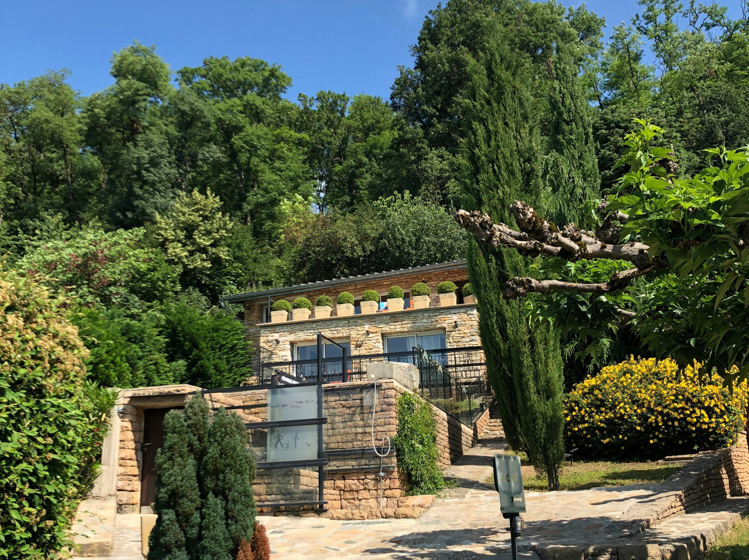 La Villa du Rhône主图