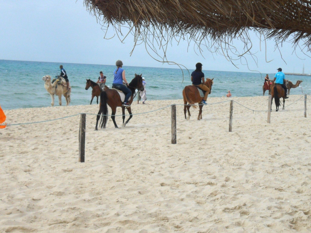 Caribbean World Hammamet Garden主图