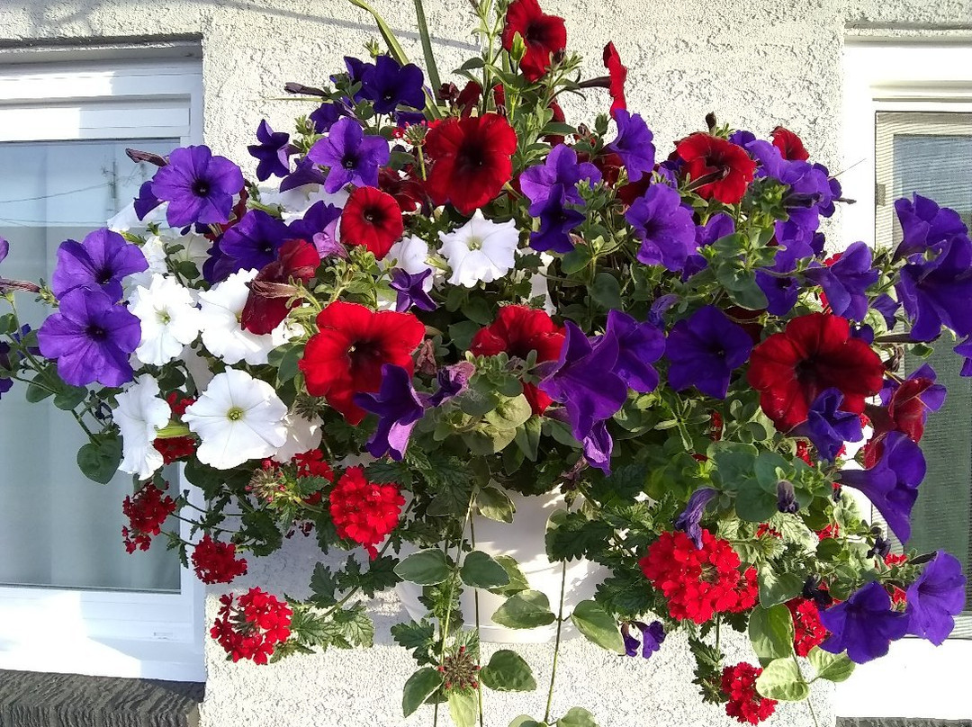 Carter Mountain Motel主图