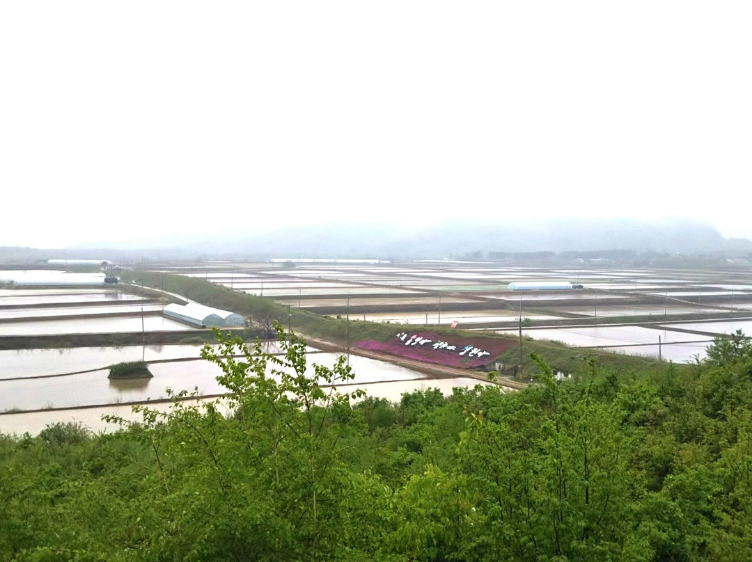 White Horse Highland Battleground景点图片