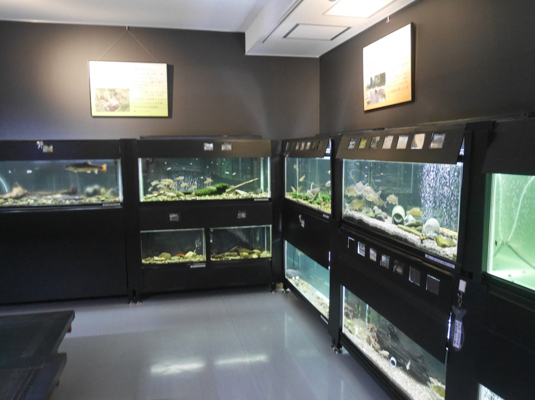 HIta City Museum-日田市必去景点