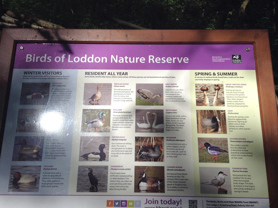 Loddon Nature Reserve-Twyford必去景点