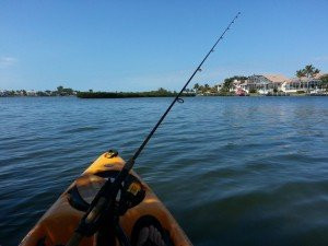 Sarasota Wind and Water Adventures景点图片