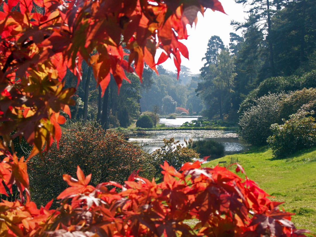 Leonardslee Lakes & Gardens景点图片