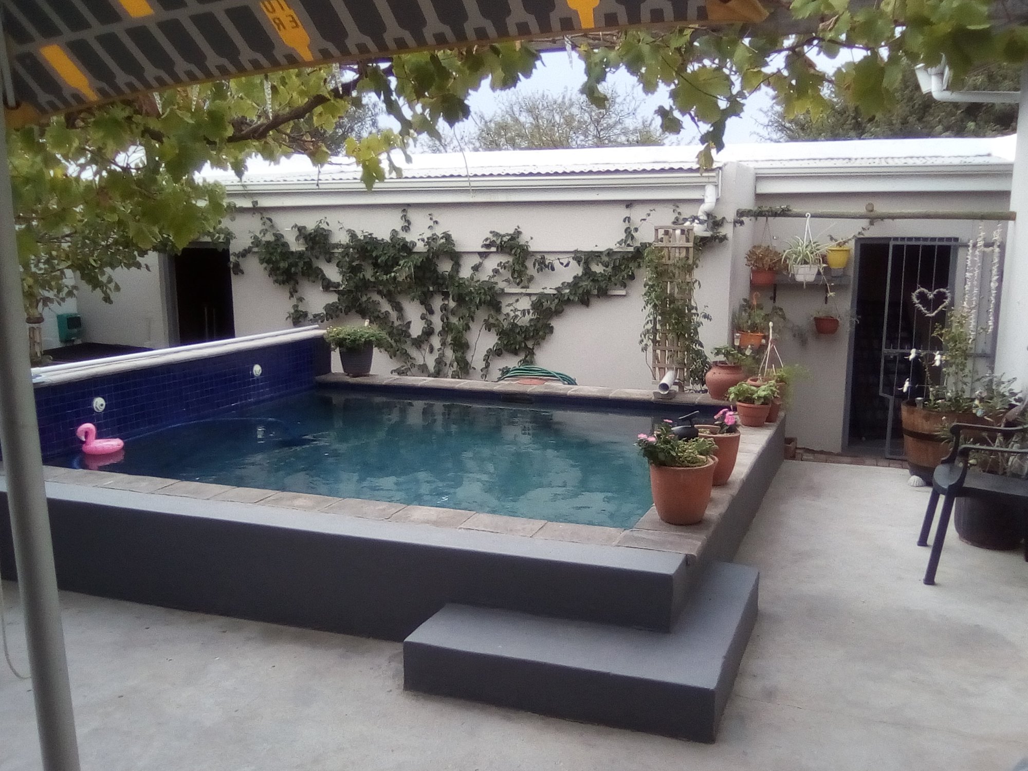 Daisy Darling Bed & Breakfast-泳池
