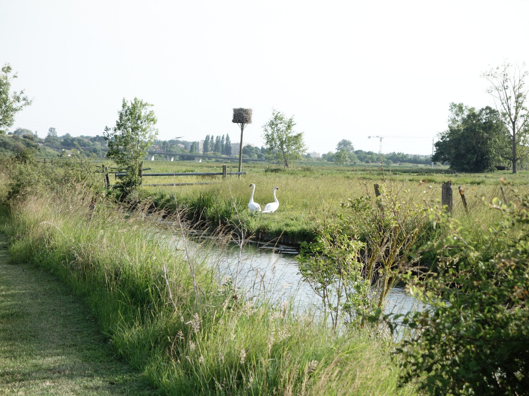 Camping Aire Naturelle Du Grand Pré主图