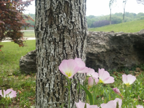 天生桥-溧水县必去景点