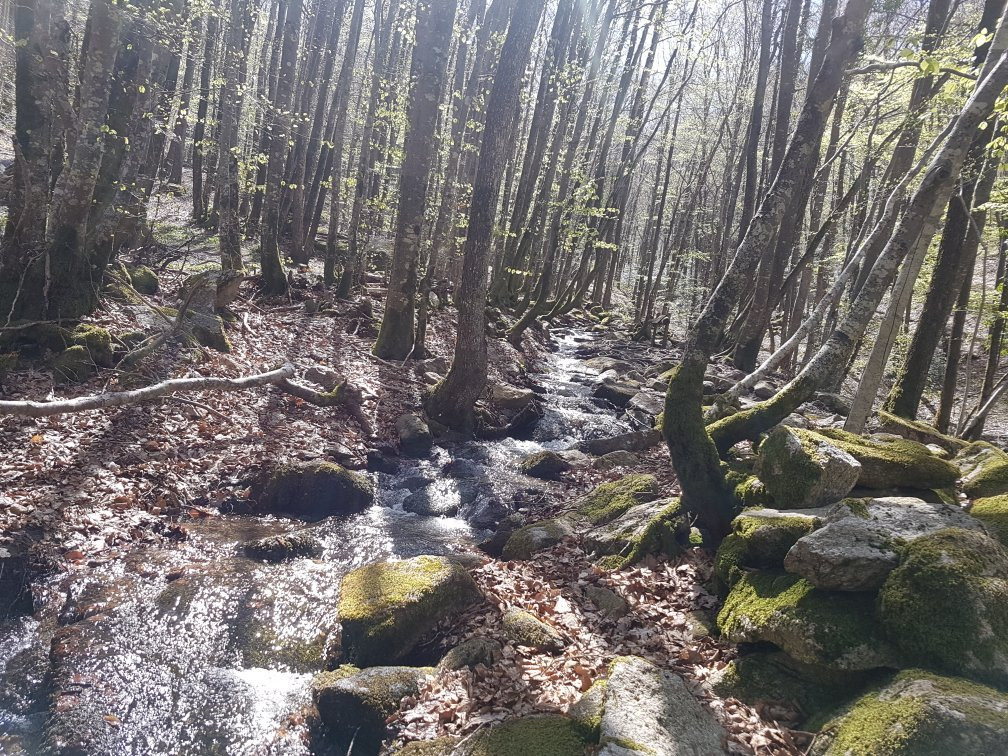 Sentier de Decouverte "Sur les Traces de l'Enfant Sauvage"景点图片