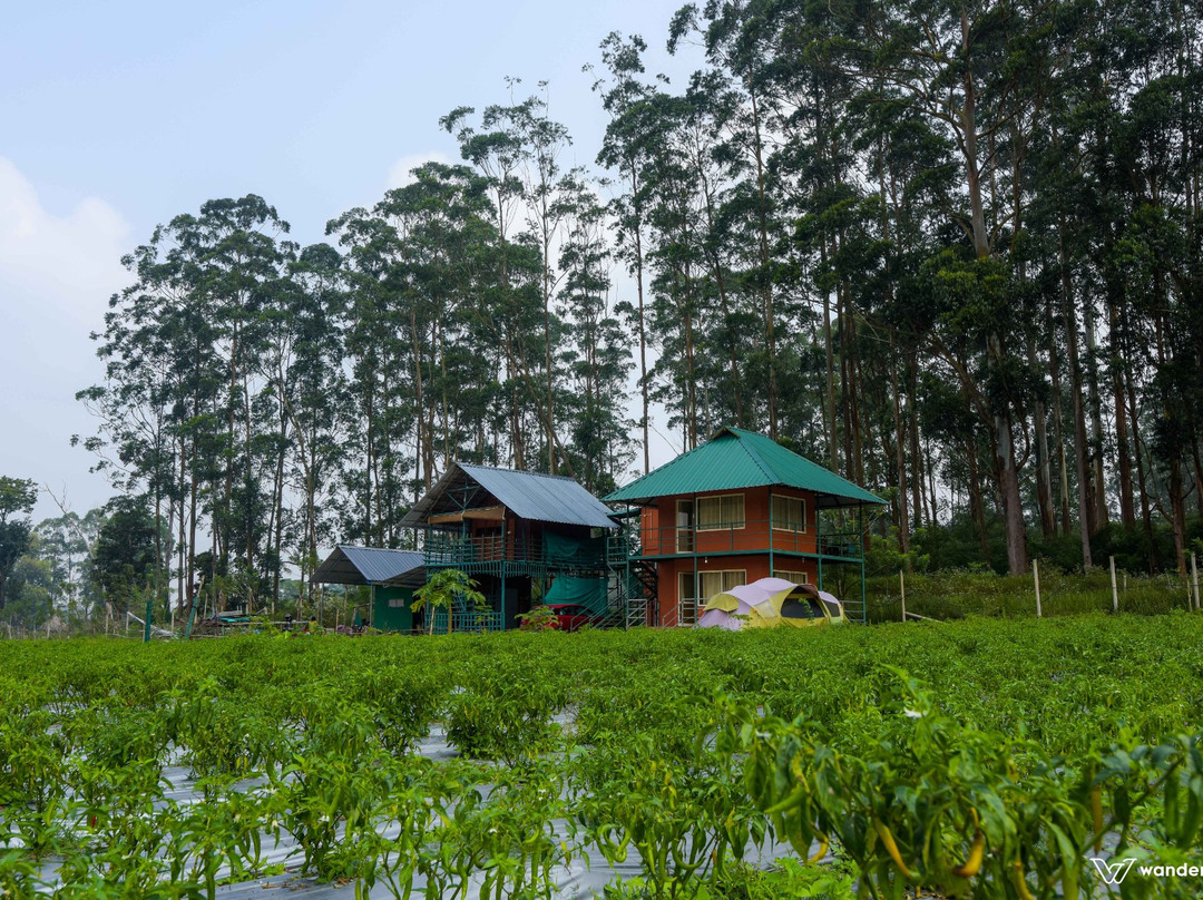 Ammoos Farmhouse - A Wandertrails Stay