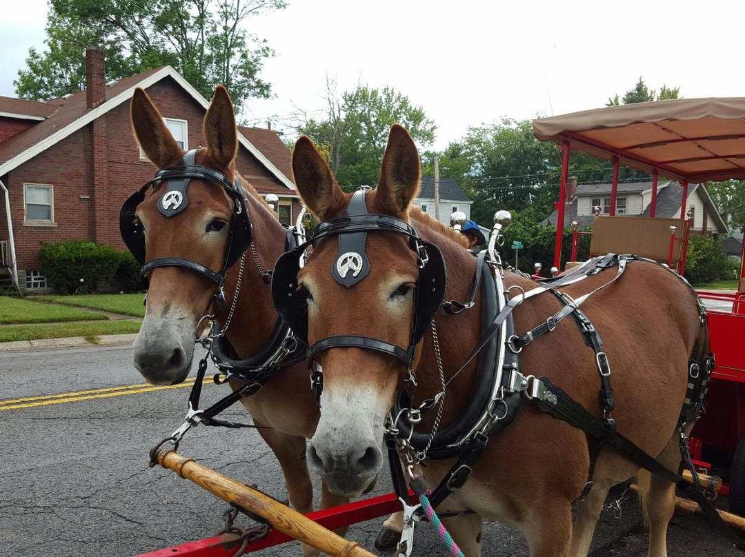 Gorman Heritage Farm-Evendale必去景点