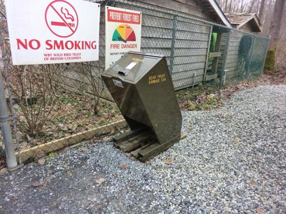 Maplewood Flats Conservation Area-北温哥华必去景点