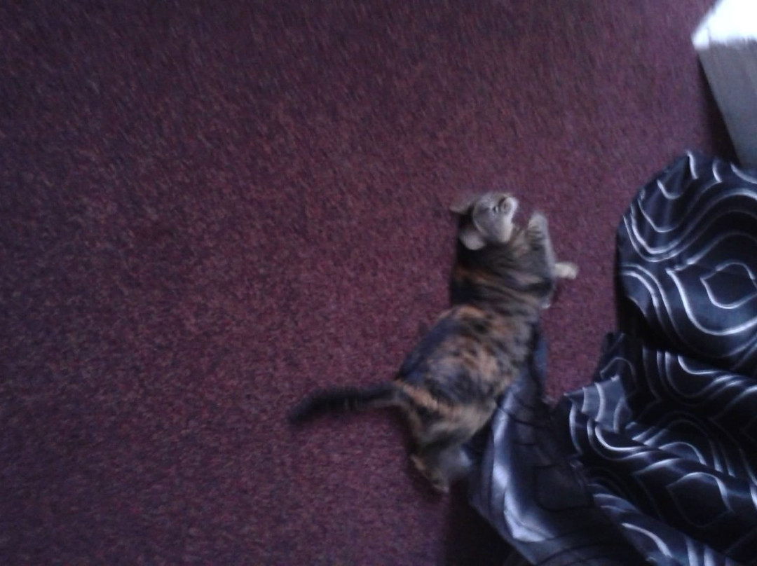 Hotel de la Cathedrale主图