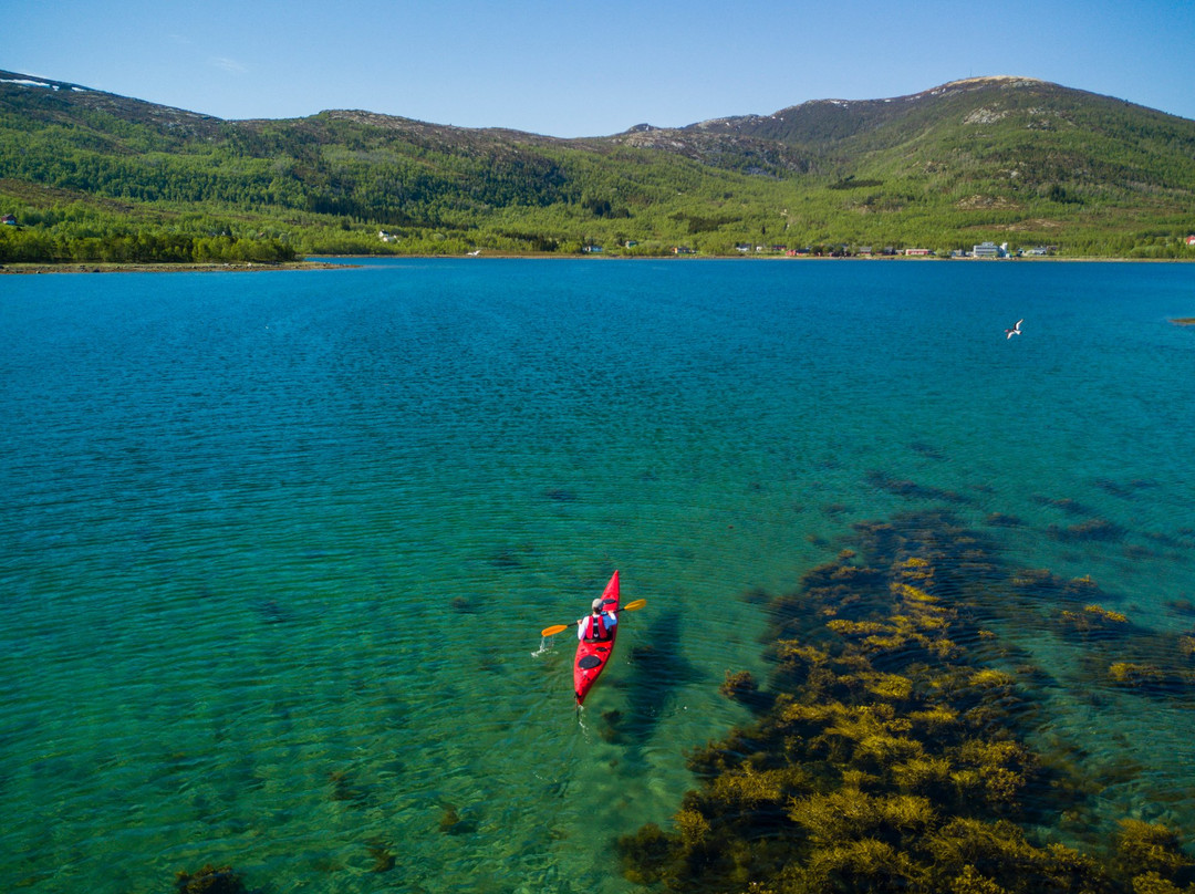 Arctic Ventures AS-Tysfjord必去景点