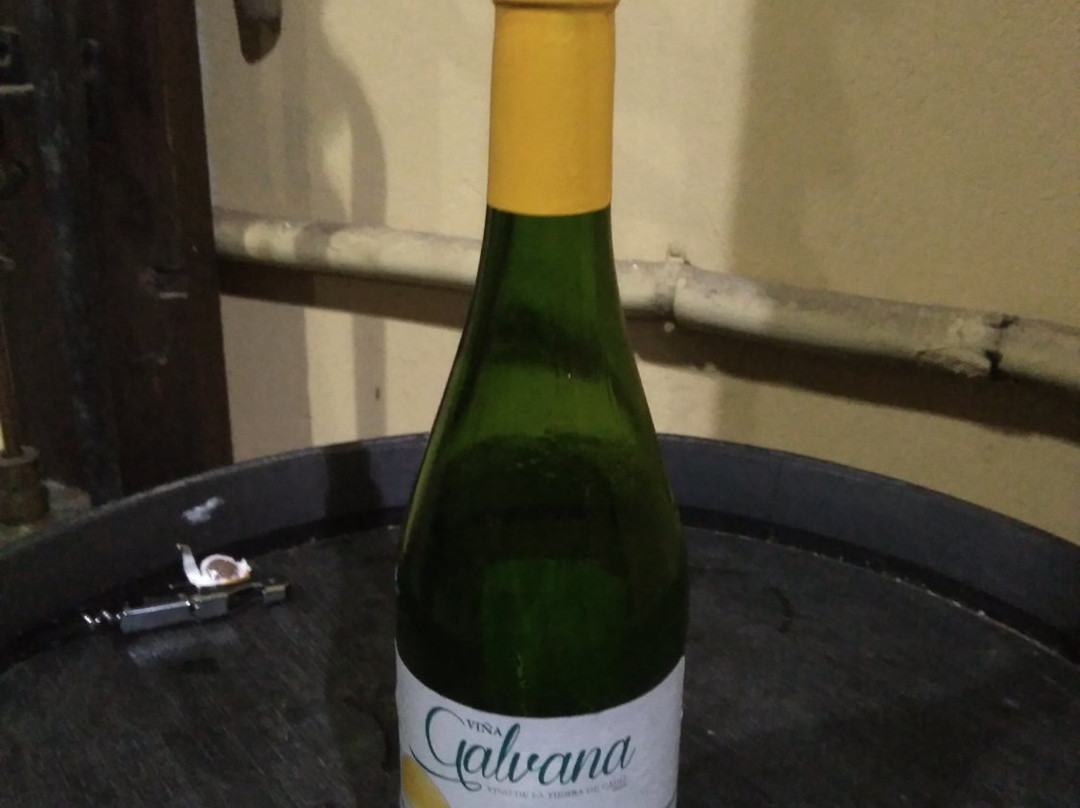 Bodega Delgado Zuleta景点图片