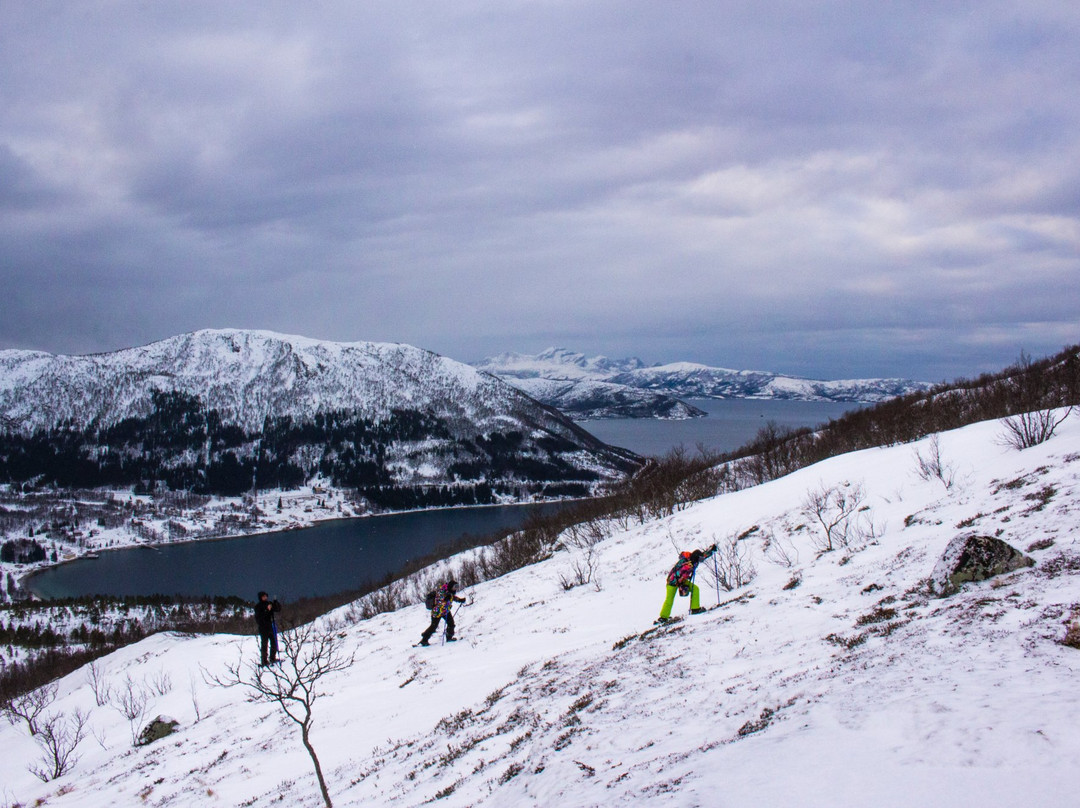 Arctic Ventures AS-Tysfjord必去景点