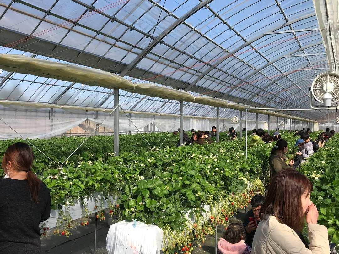 Hakuryuko Tourism Orchard-三原市必去景点