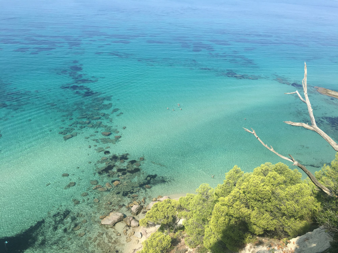 德律阿德斯酒店主图