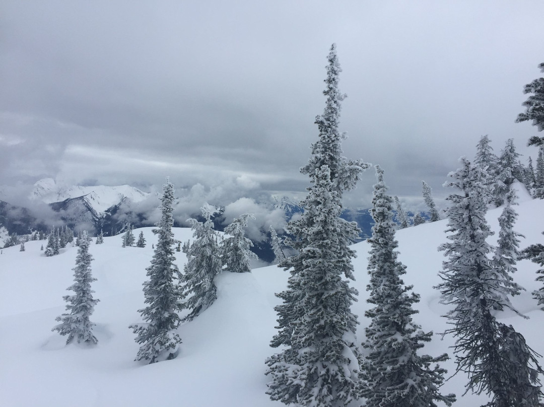 Great Northern Snowcat Skiing景点图片