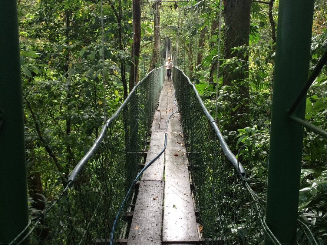 Heliconias Rainforest Lodge主图