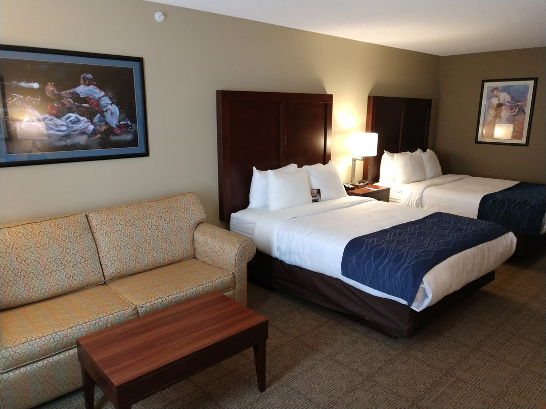 Hartwick Seminary酒店住宿-Comfort Inn & Suites Milford / Cooperstown