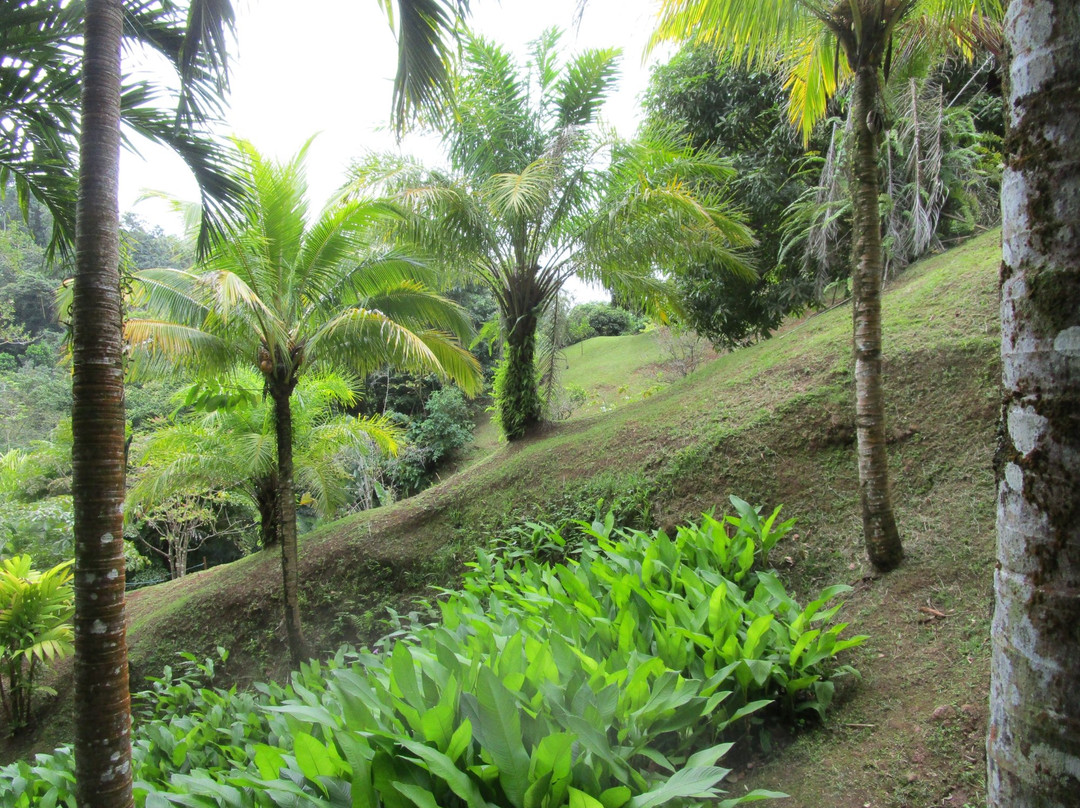 Le Jardin de Bonneville-La Trinite必去景点