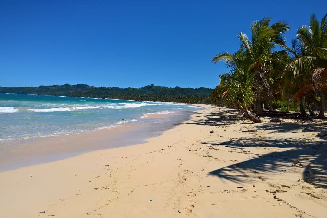 La Barbacoa旅游攻略图片