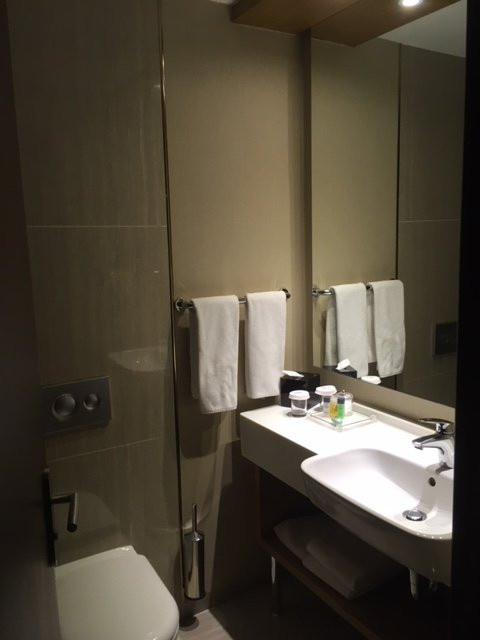 Dedeman Oskemen Tavros Hotel主图