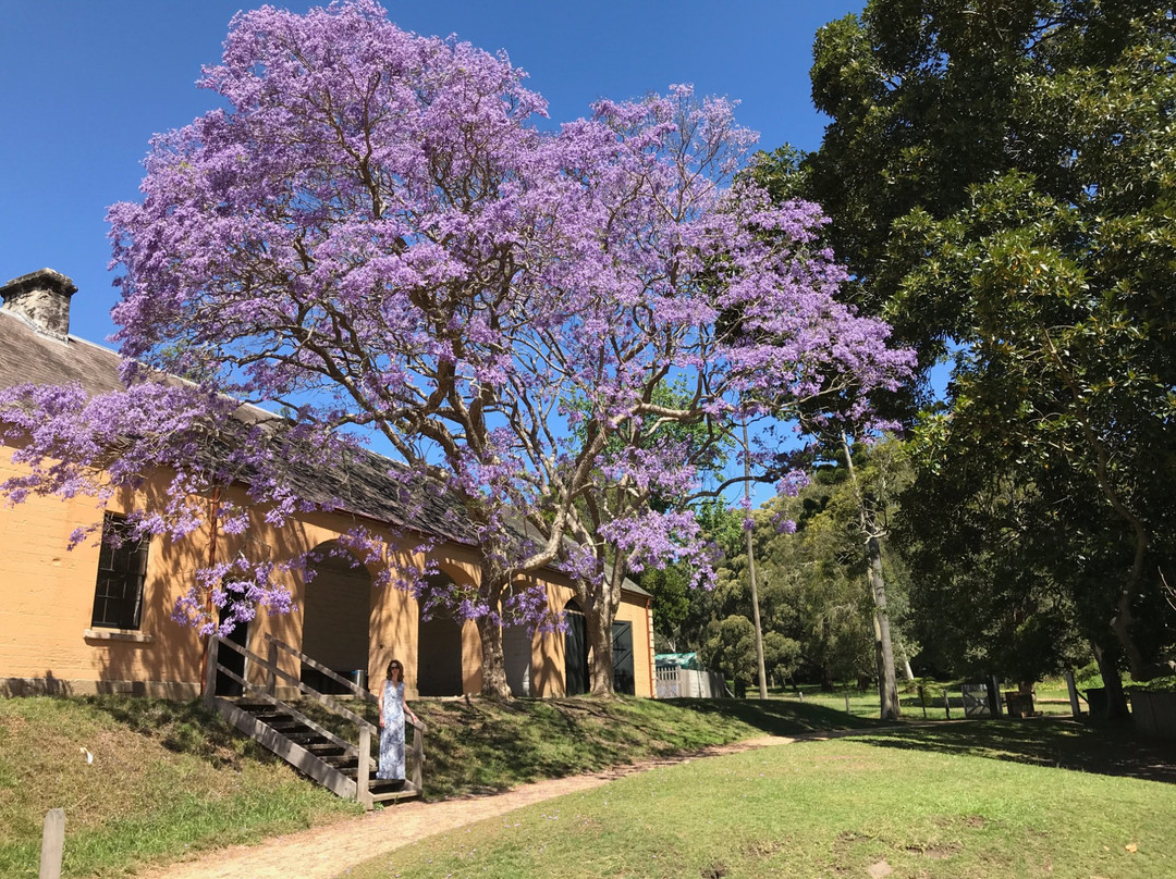 Vaucluse旅游攻略图片