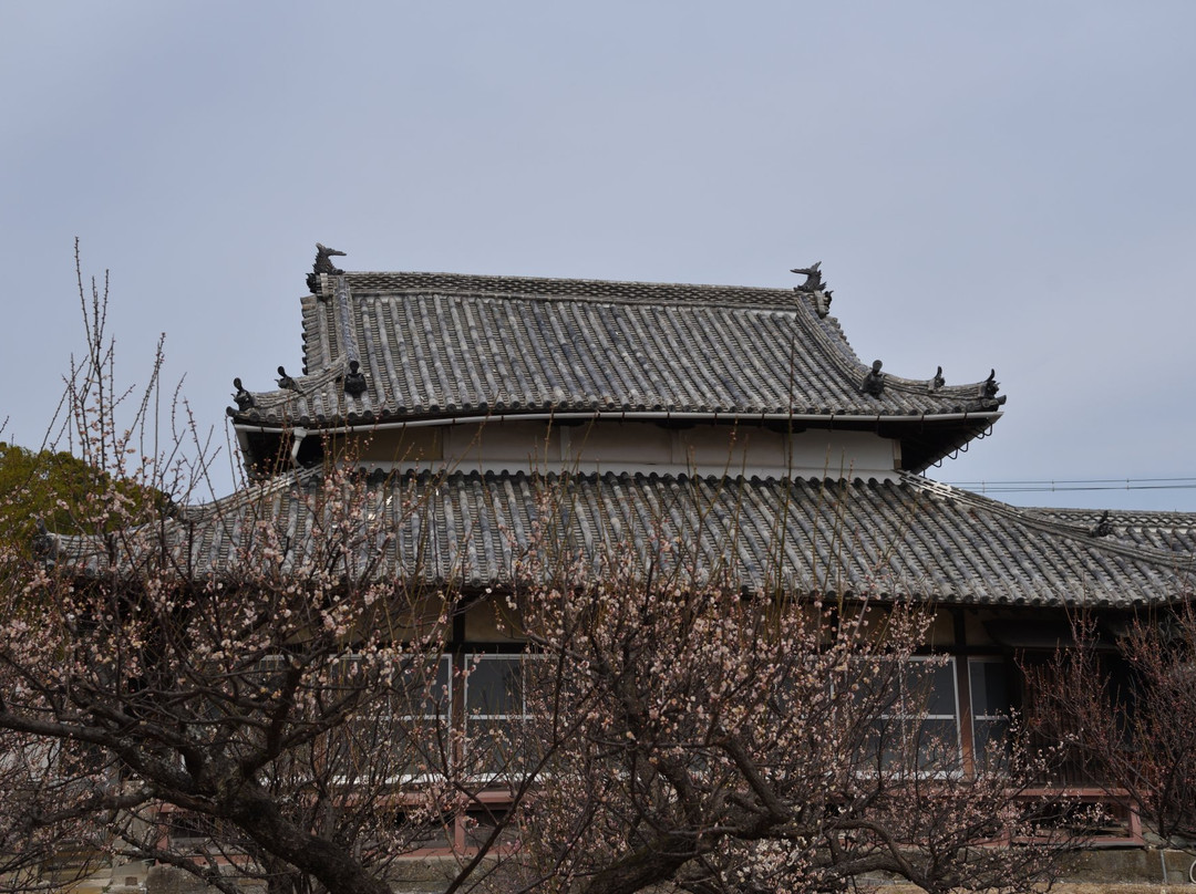 Senkoji Temple景点图片