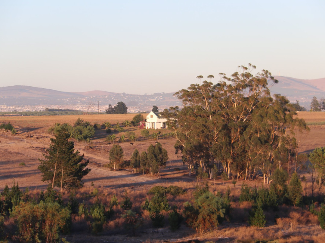 Hawksmoor House主图