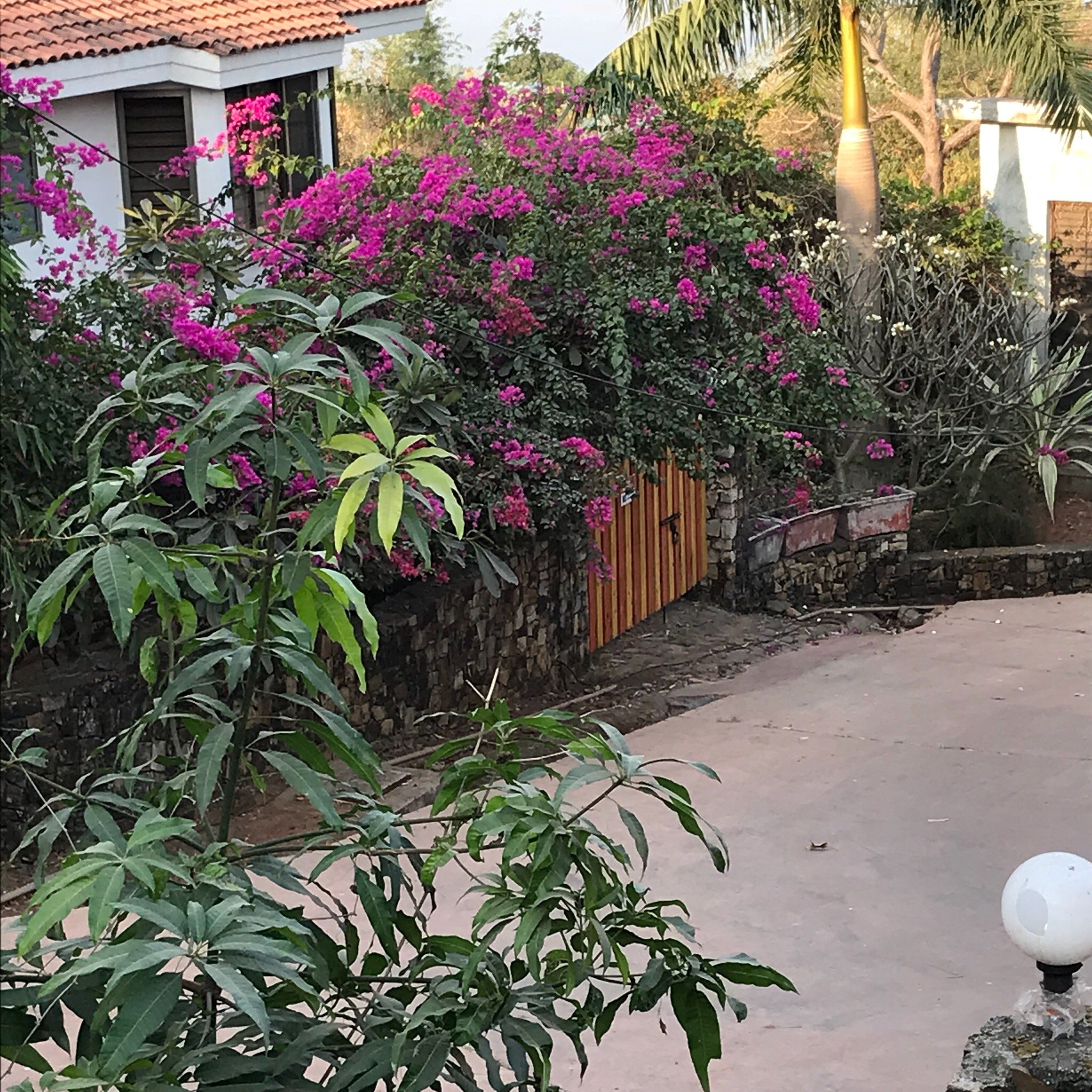 U Tan Sea Resort-官方