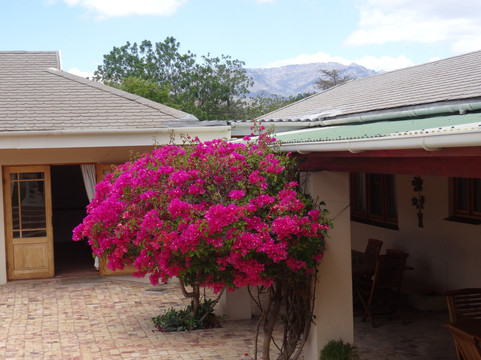 Clan Court Guesthouse主图