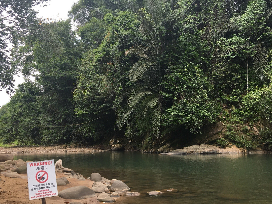Tagal Tinopikon Park-兵南邦必去景点
