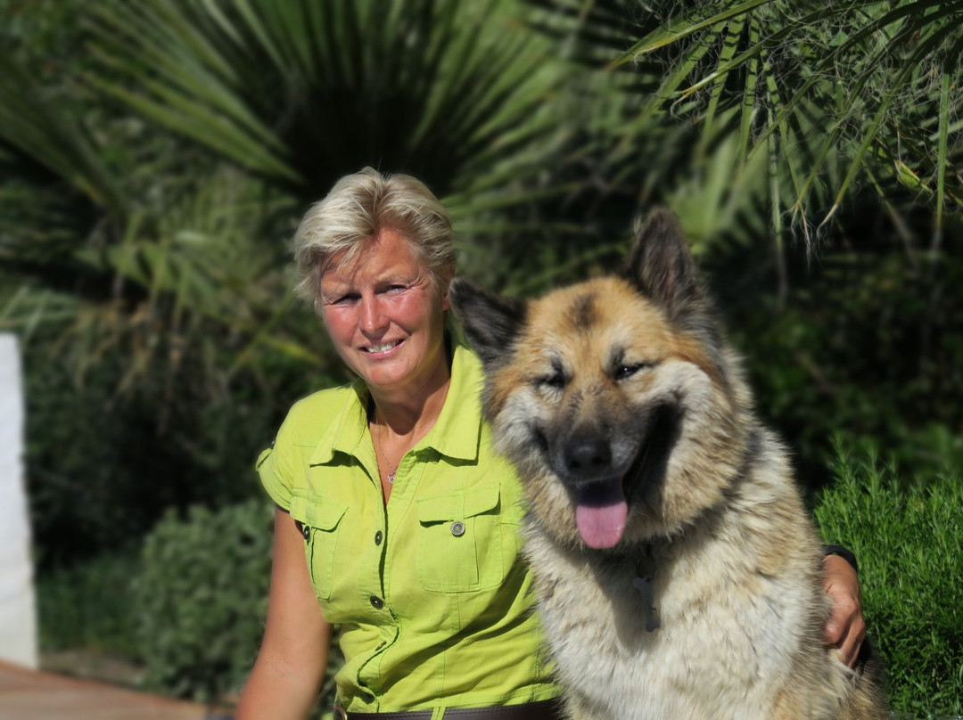 Molino de Las Tablas主图