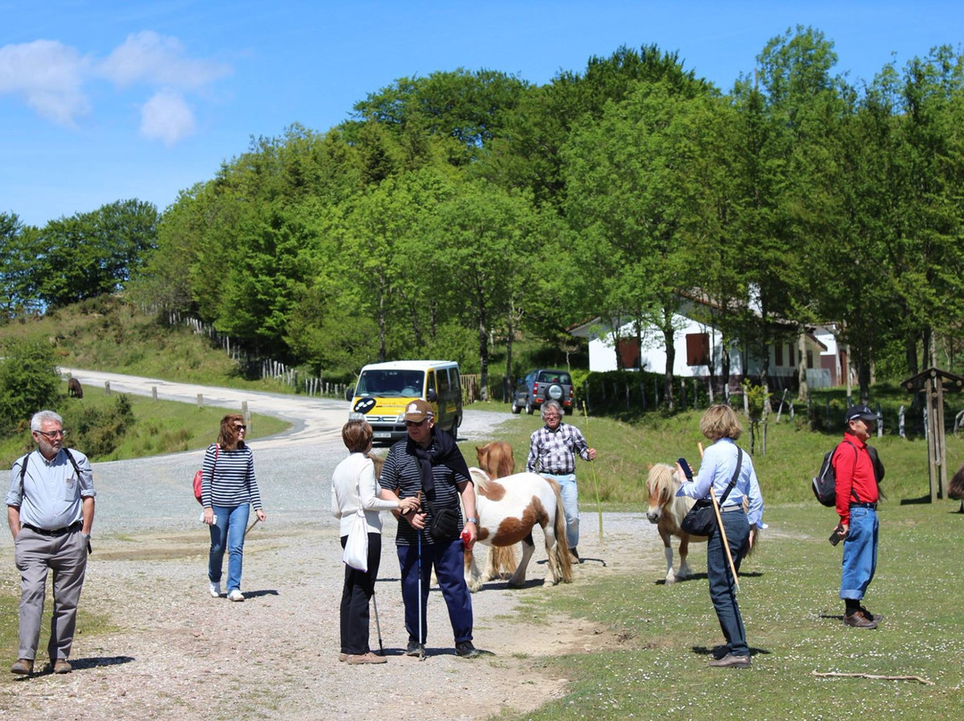 Baztan Tours-Elizondo必去景点