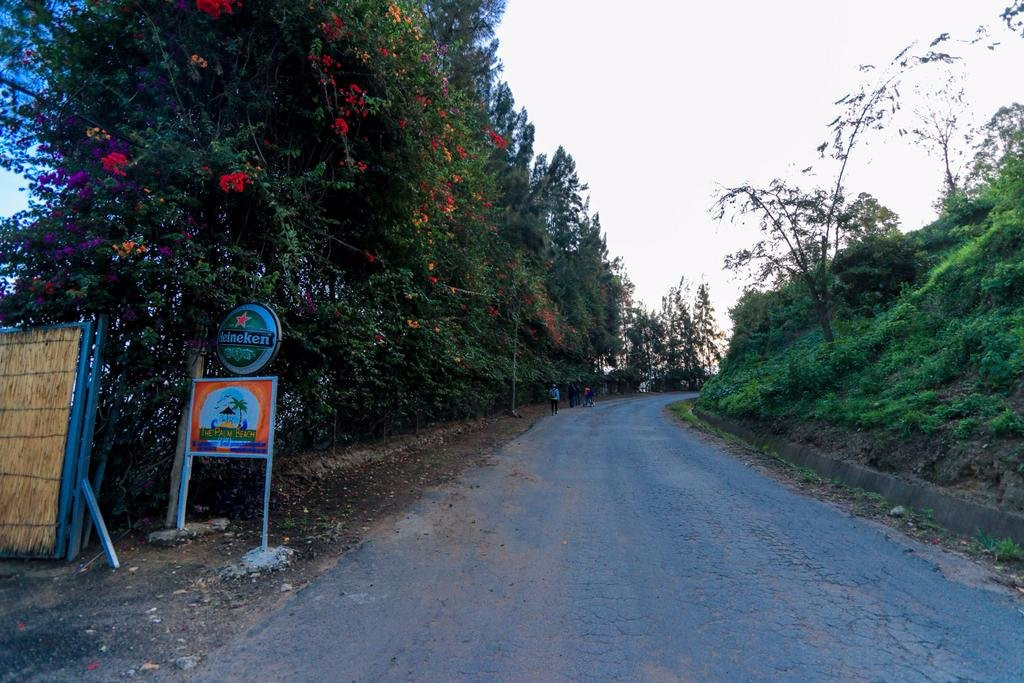 The Palm Beach Resort主图