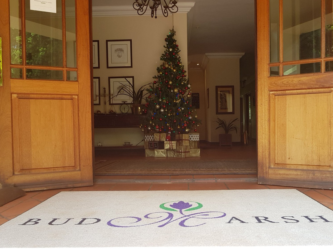 Budmarsh Country Lodge主图