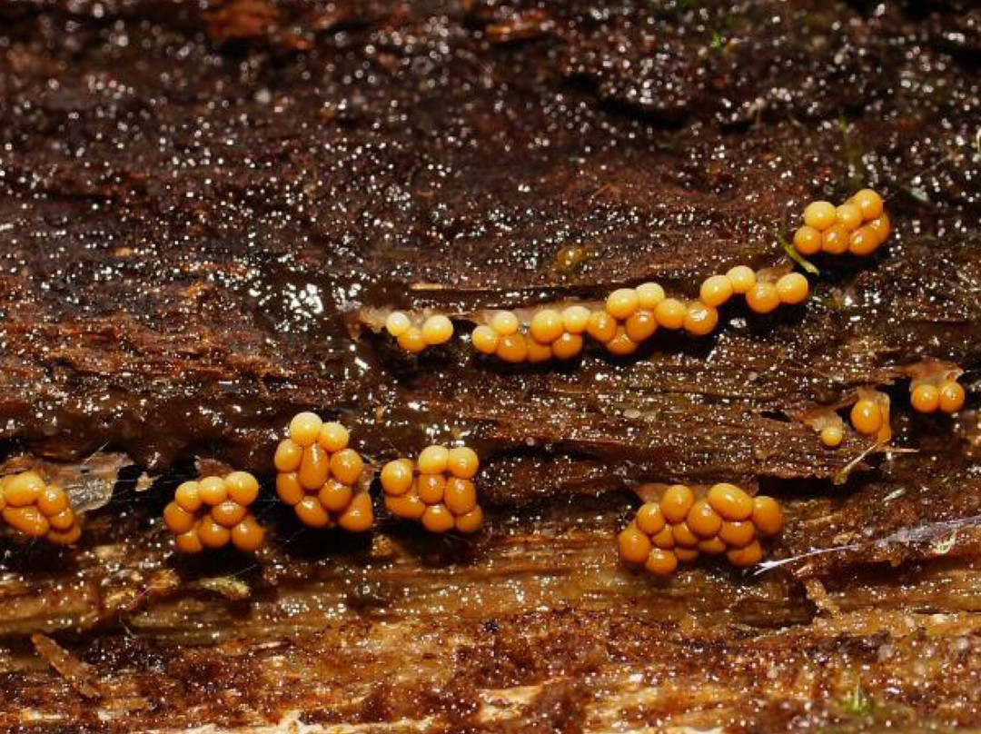 Adams Creek Conservation Reserve-Nyora必去景点