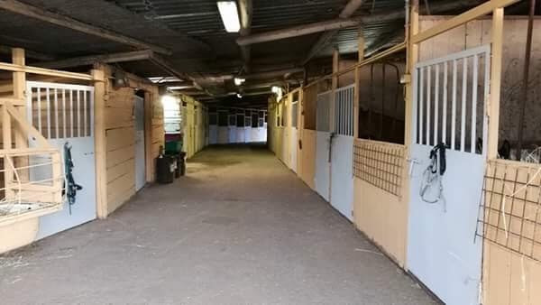 Asd Wild Ranch-罗马必去景点