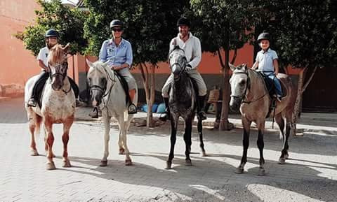 Les écuries de La Roseraie-塔鲁丹特必去景点