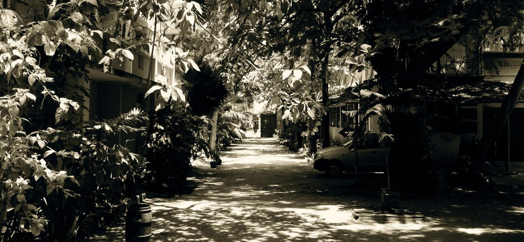 Sri Aurobindo Handmade Paper-朋迪榭里必去景点