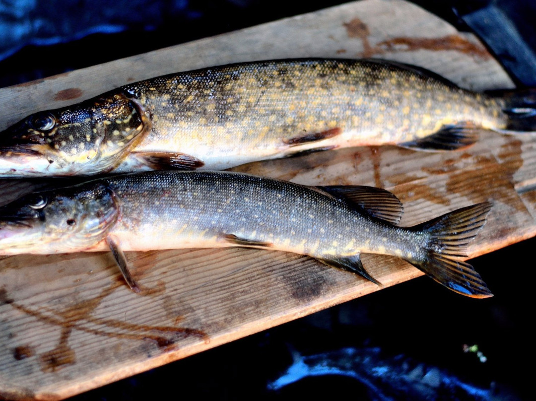 Port Vesyegonsk-Vesyegonsk必去景点