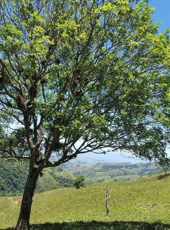Cachoeira Gomeral-瓜拉廷格塔必去景点