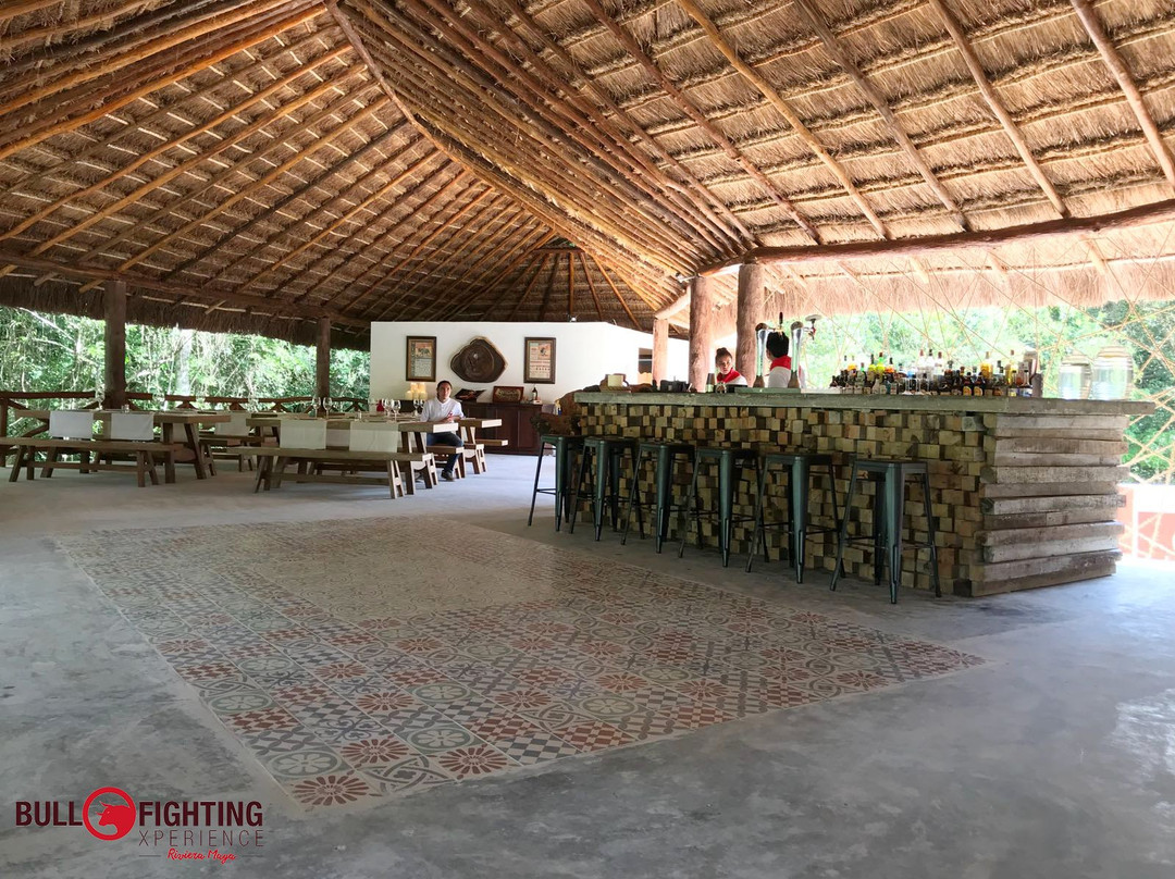 Bullfighting Xperience Riviera Maya-从莫雷洛斯港必去景点