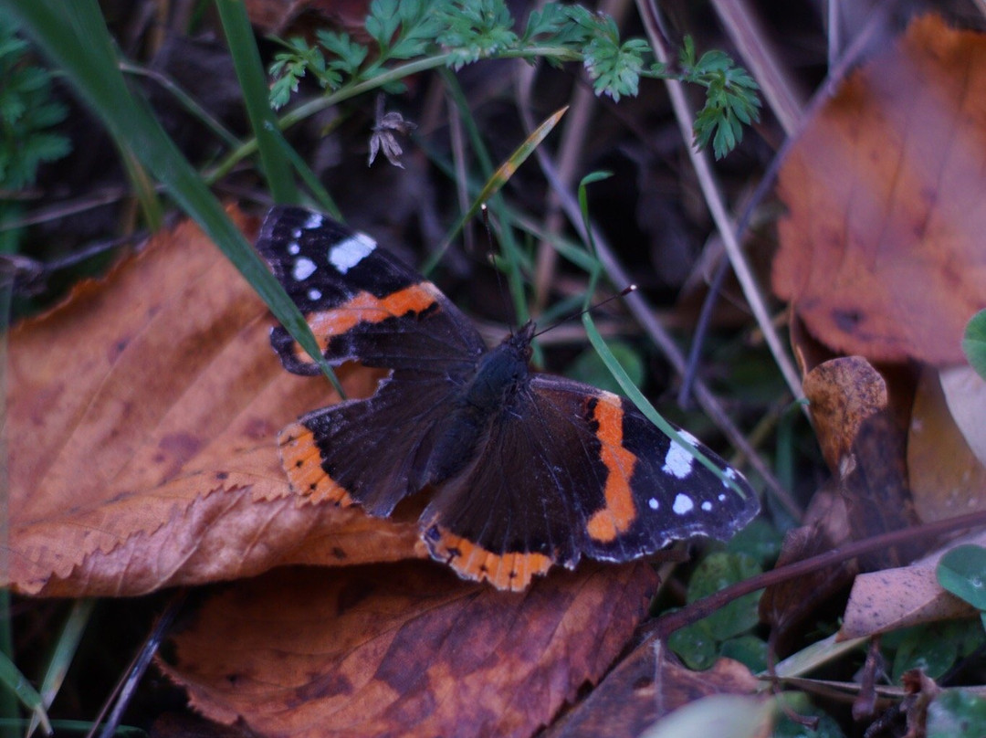 Percorso Gorgaccia-Apecchio必去景点