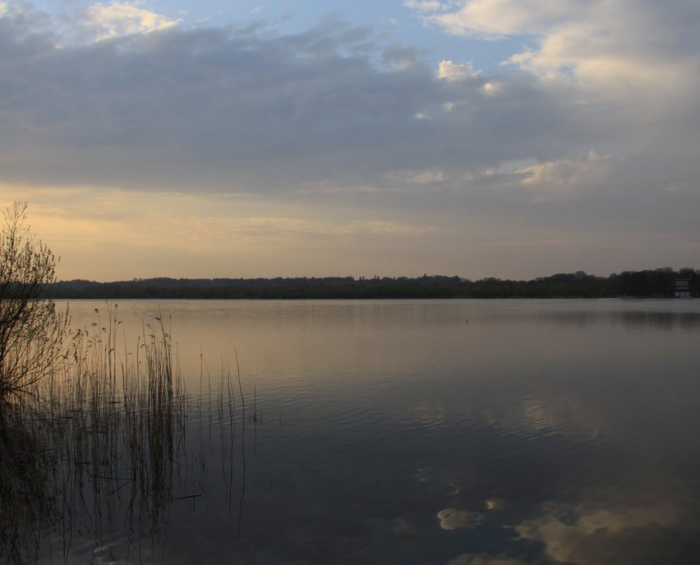 Stadtwaldsee-不莱梅必去景点